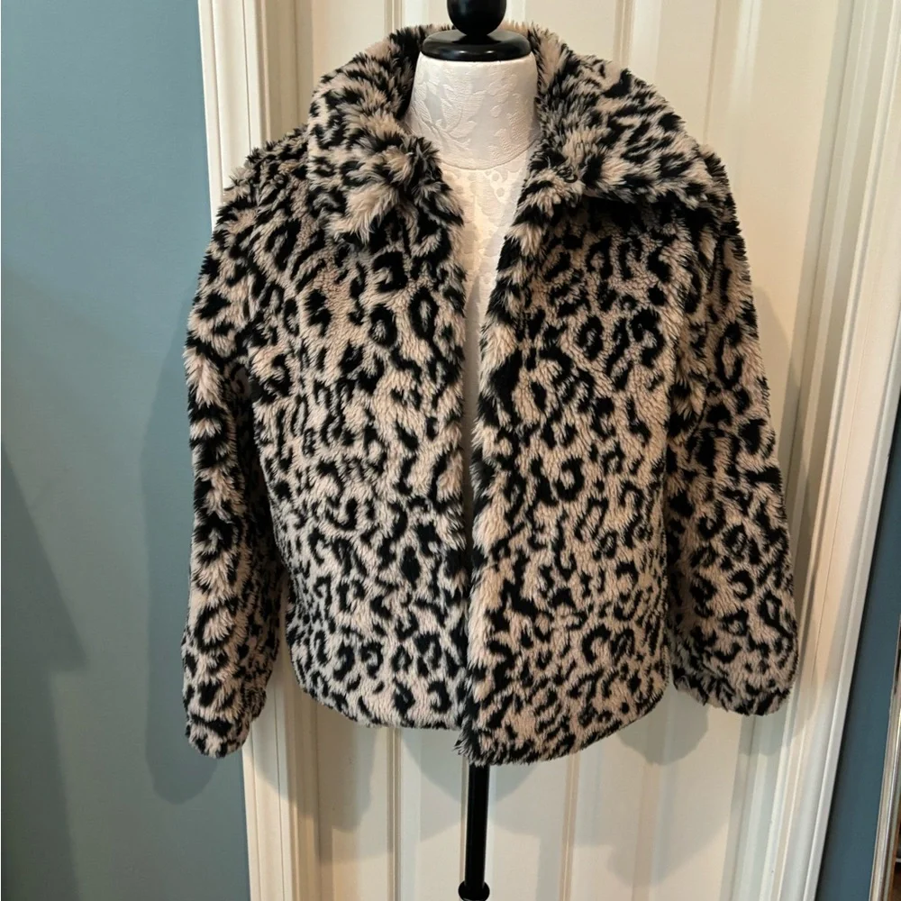 Animal Print Coat - Picture 1 of 13